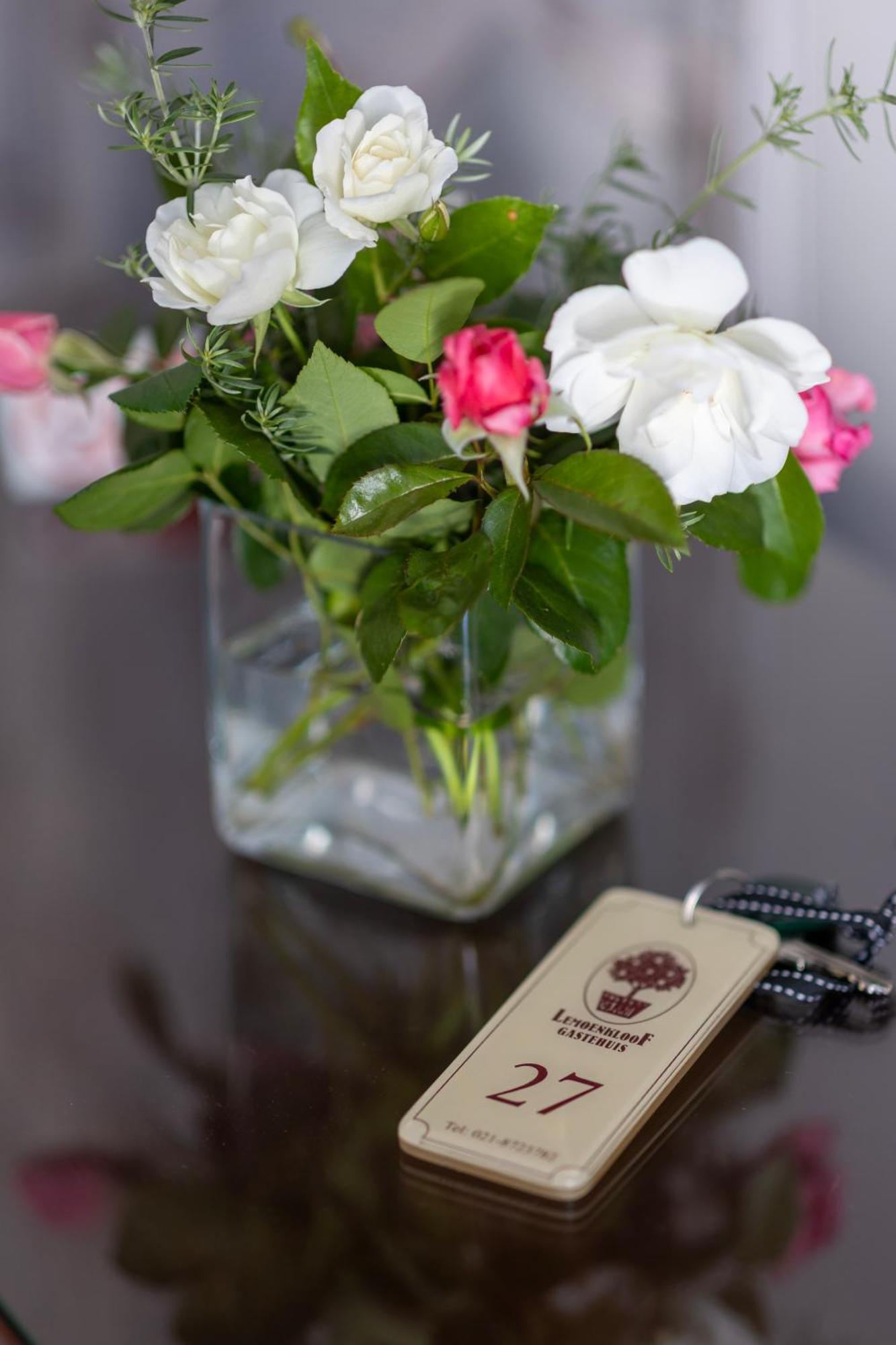 Lemoenkloof Boutique Hotel Paarl Eksteriør billede